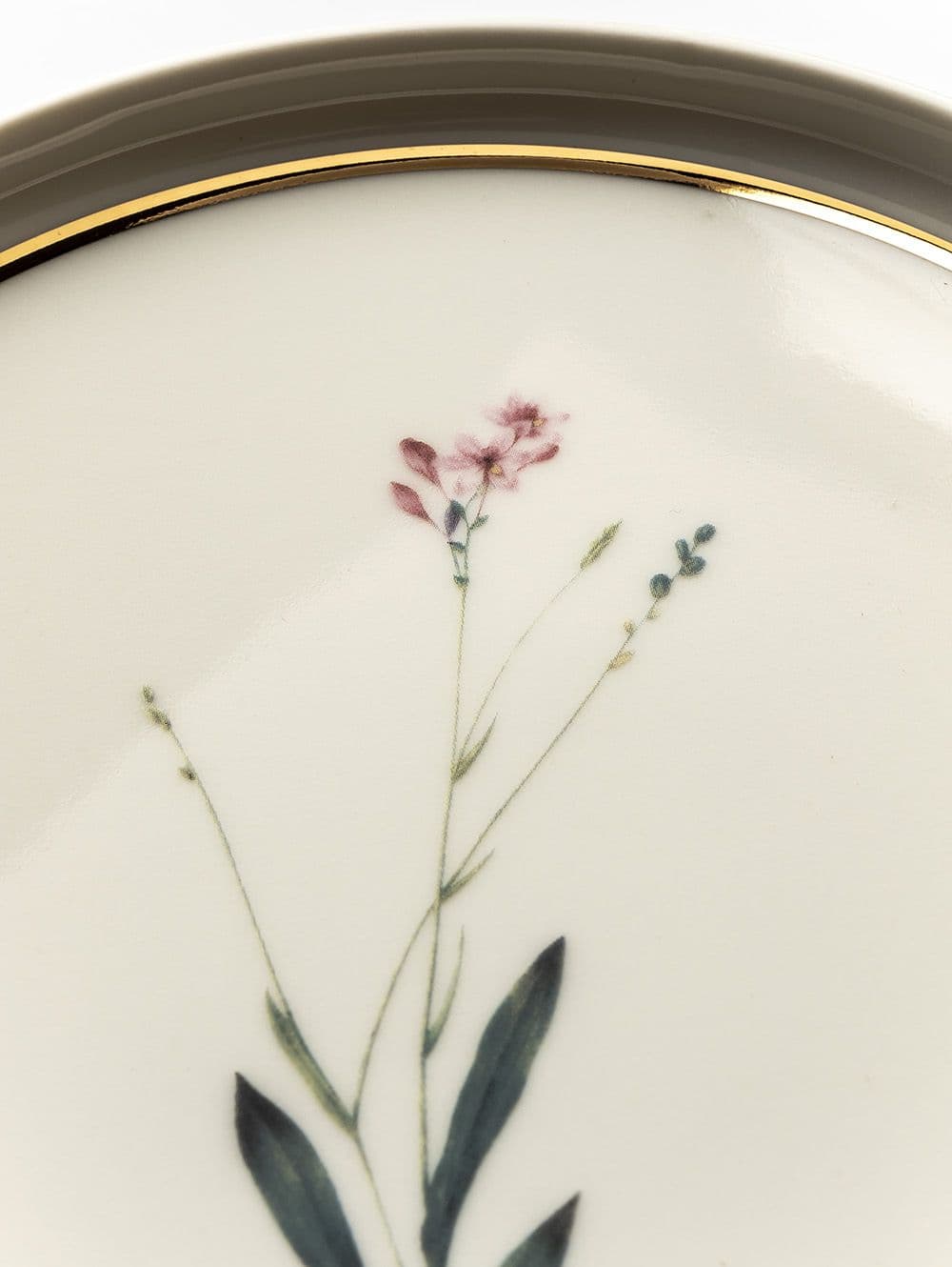 PLATO DE POSTRE BOTANICAL 21 CM