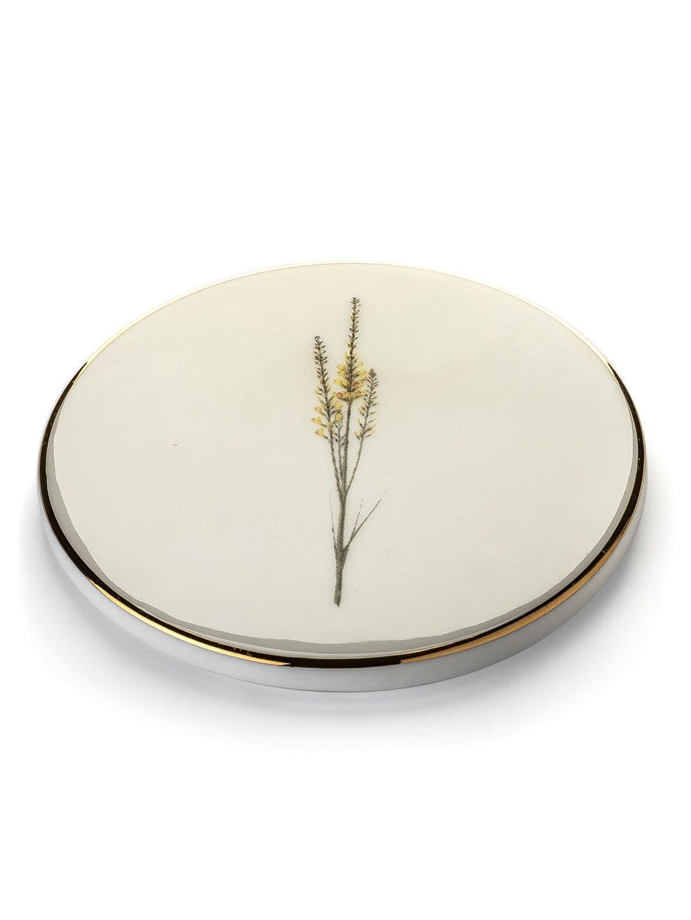 APOYA VASO BOTANICAL