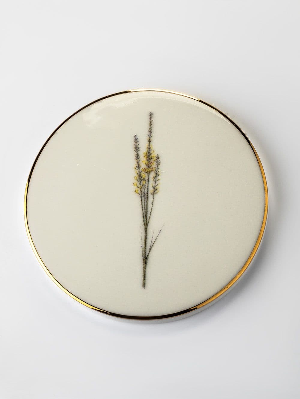 APOYA VASO BOTANICAL